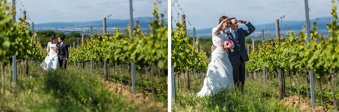 Brautpaar-Weinberge-Laubenheimer-Hoehe-Hochzeitspaar-Portrait