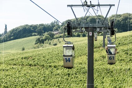 Hochzeitspaar schwebt Seilbahn über Weinbergen von Rüdesheim.