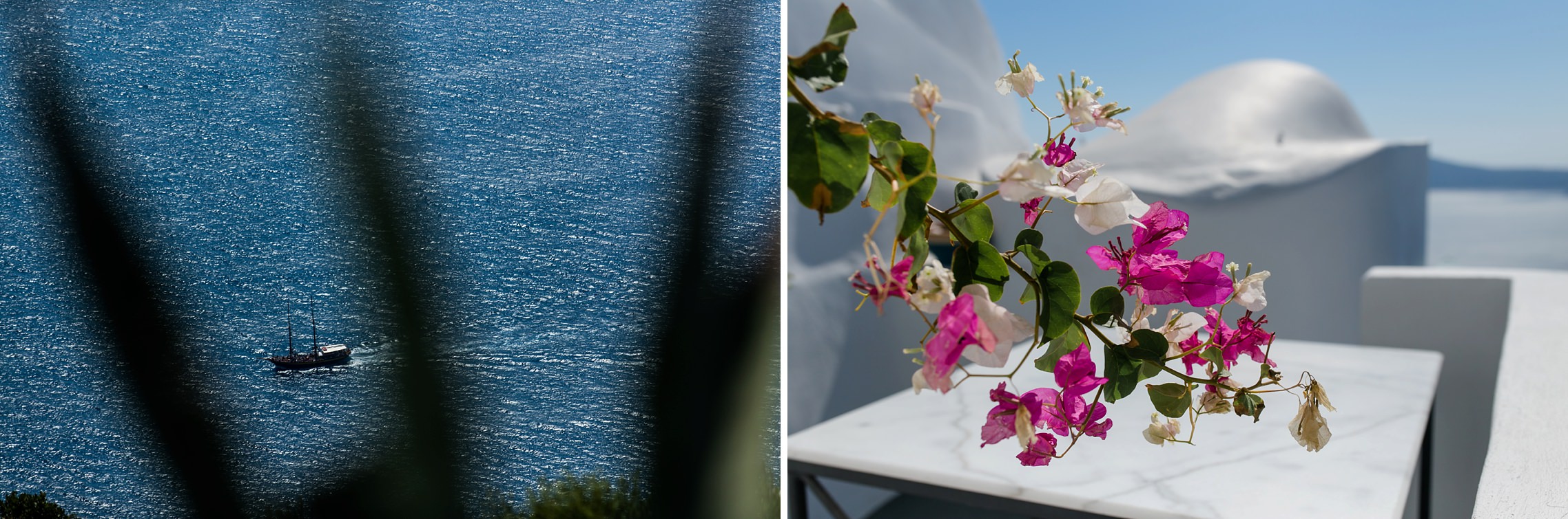 Santorini-typische Blumen und ein Blick auf das Meer mit einem Segelschiff.