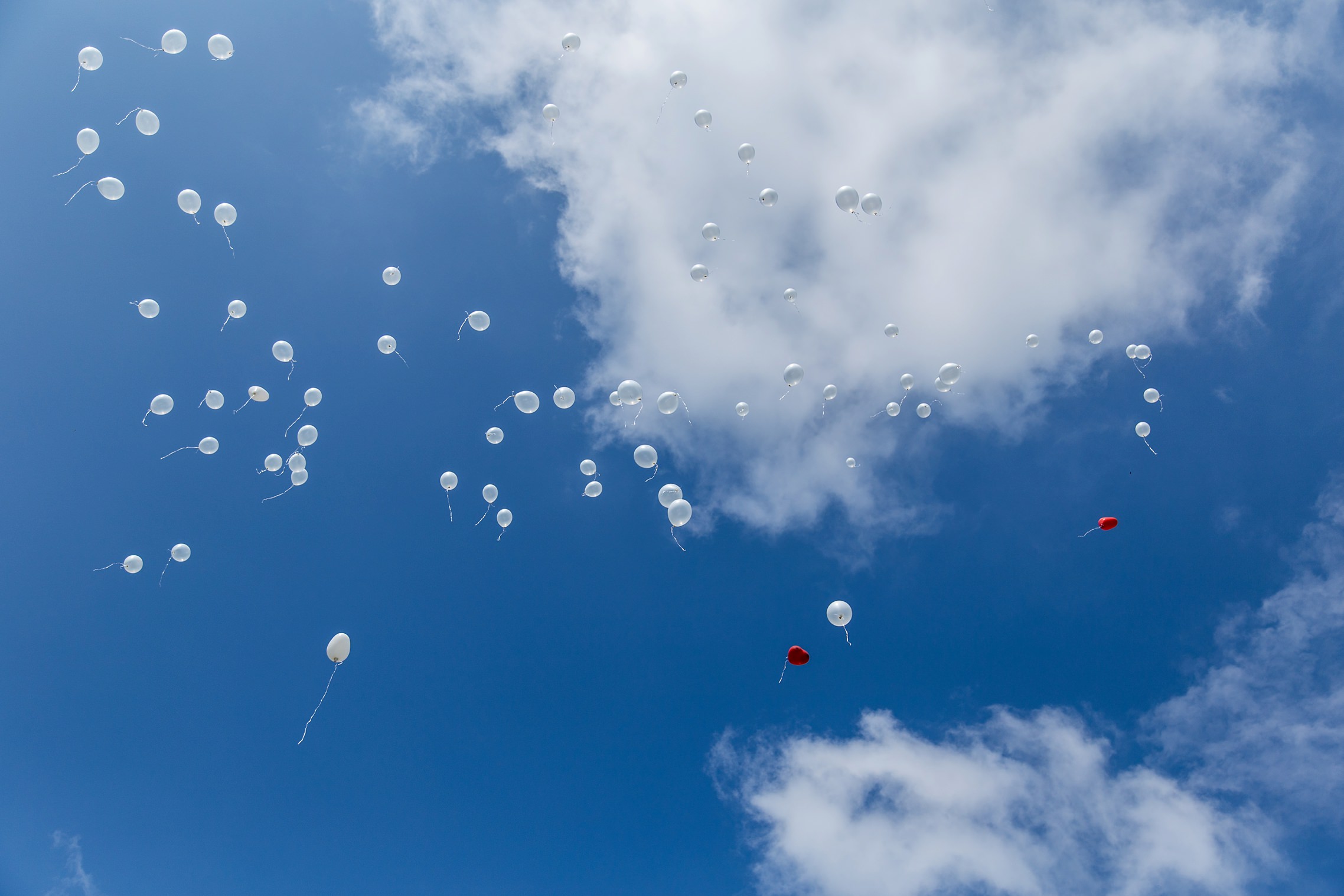 Weiße Hochzeits-Luftballons und zwei rote Ballons im blauen Himmel.