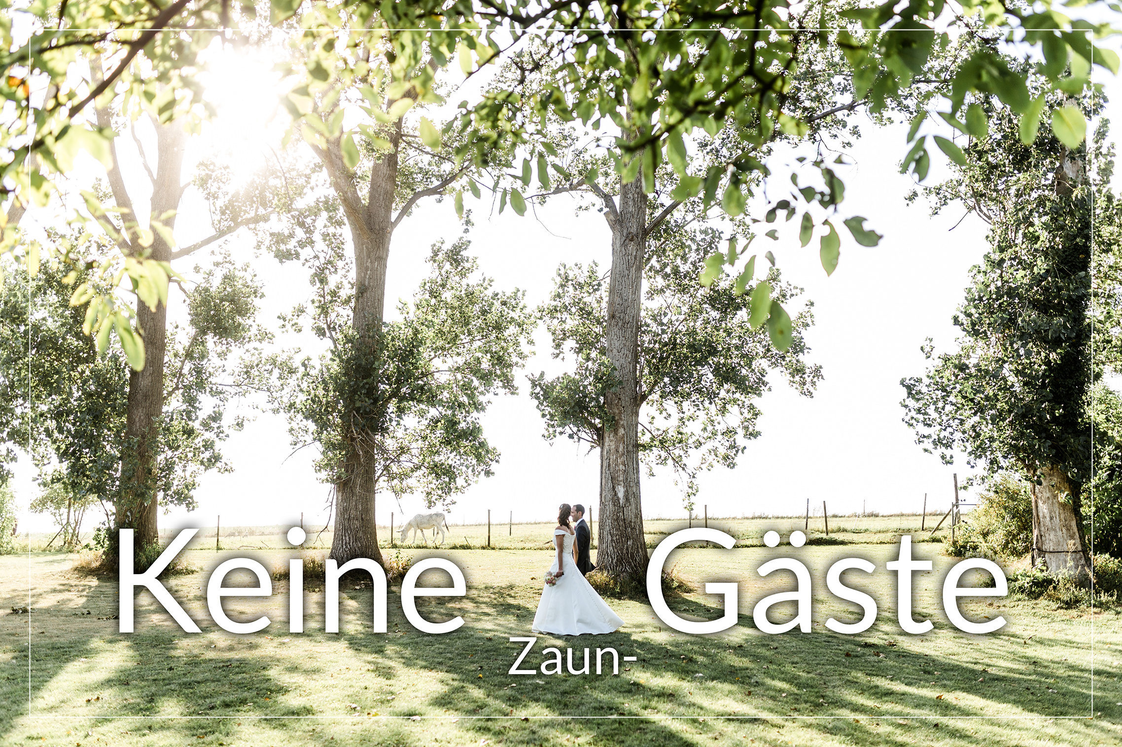 Hochzeitspaar vor Bäumen ohne Zaungäste